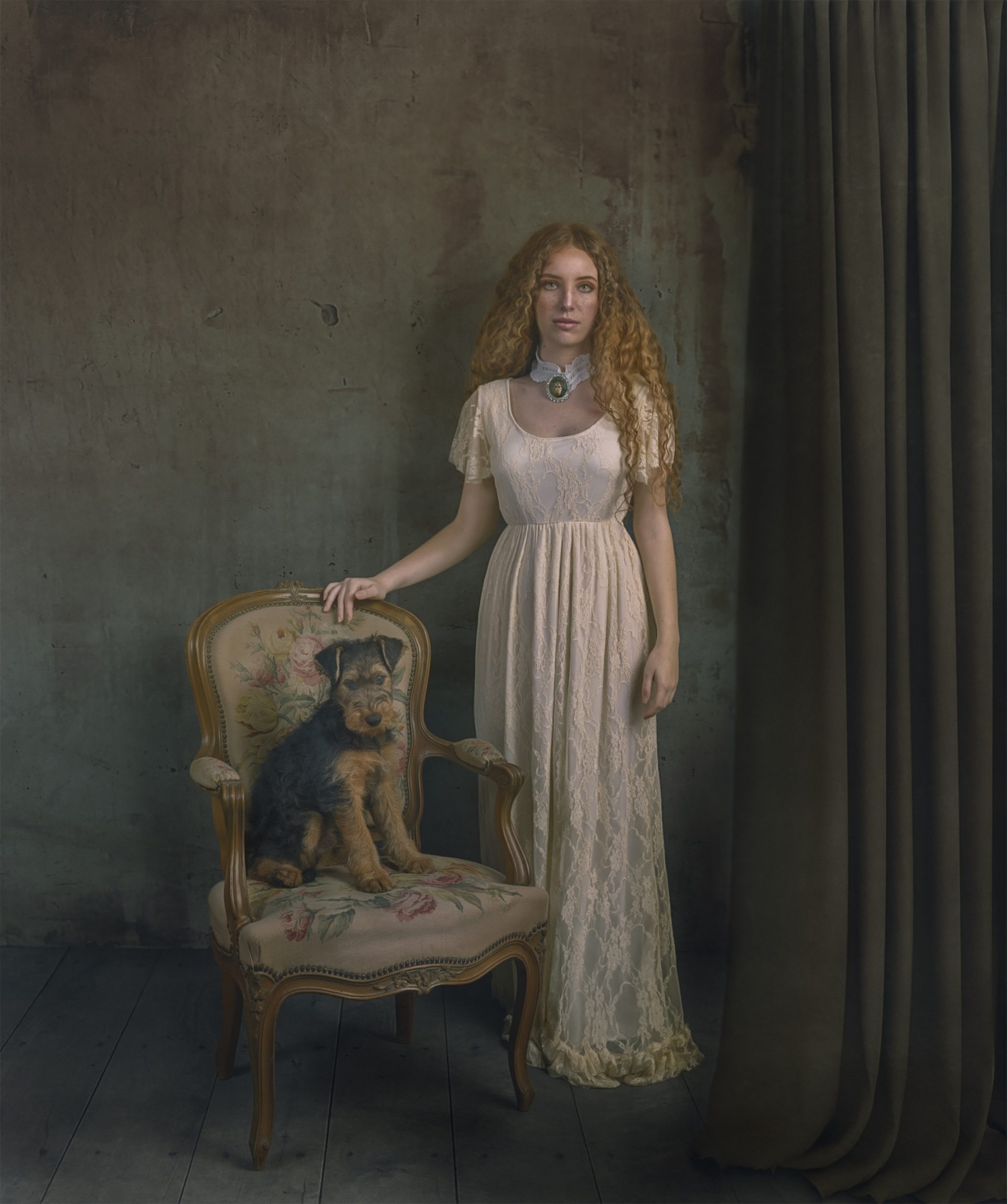 Galería de retratos de perros